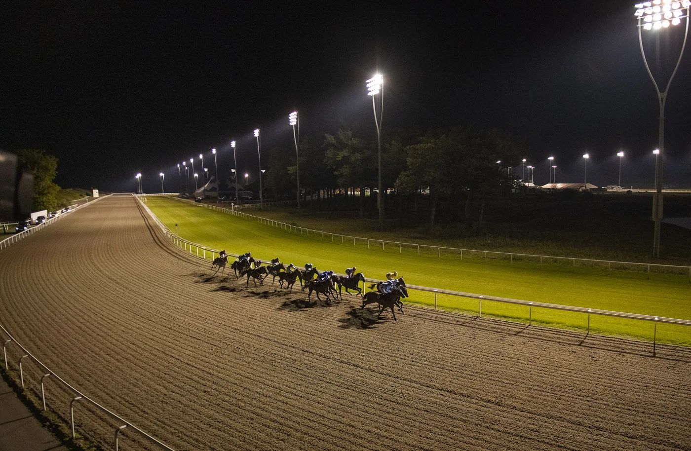 The floodlit all-weather track at Chelmsford City Racecourse, Great Leighs.