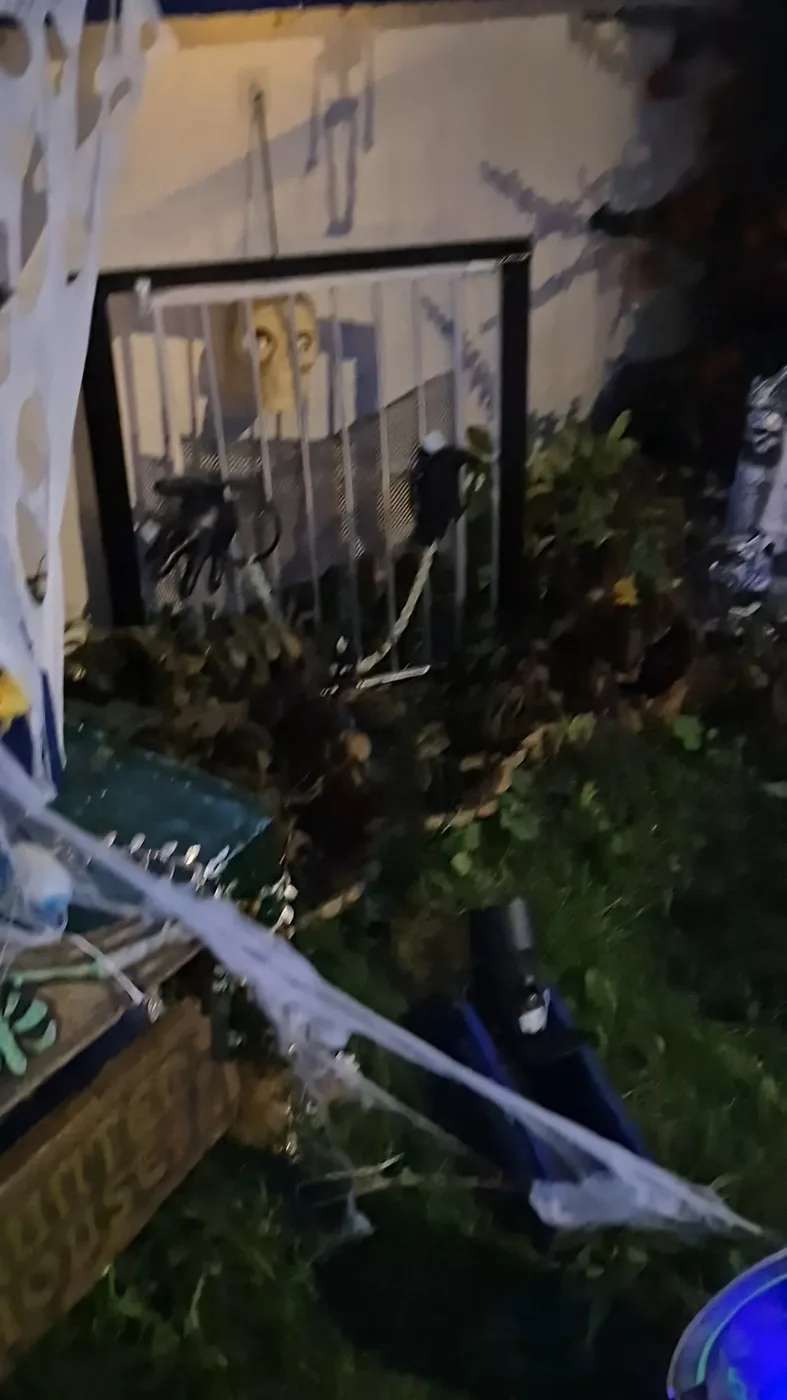 Cobwebs stretched across a front garden towards a railing with skeleton decorations and a yellow skull